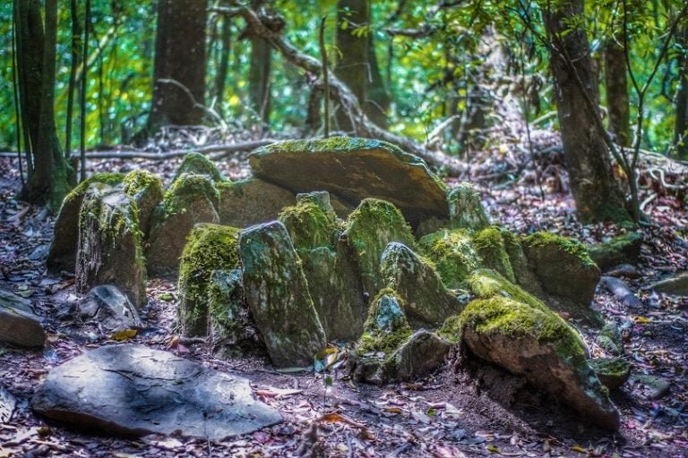 Meghalaya’s Mawphlang Sacred Forest & the Secrets Behind it